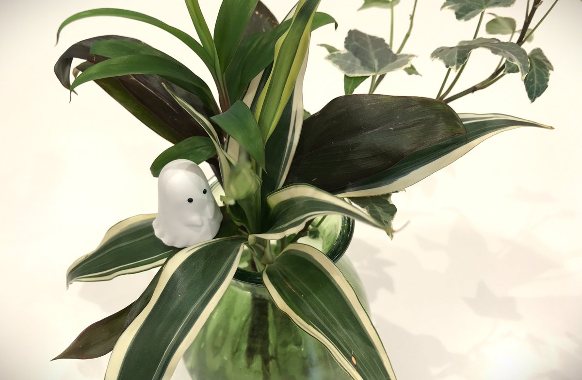 Jnets_Itd's tweet image. おはようございます🌧️
今日から10月🍂暑さもだいぶ落ち着いてきましたね
ジェイネッツでは10月～11月にかけて複数の展示会に出展予定です。
随時情報をお知らせしますのでお楽しみに✨

早いもので今年もあと3ヵ月！
本日もよろしくお願いします🙇‍♀️

#企業公式つぶやき部
#企業公式相互フォロー祭り