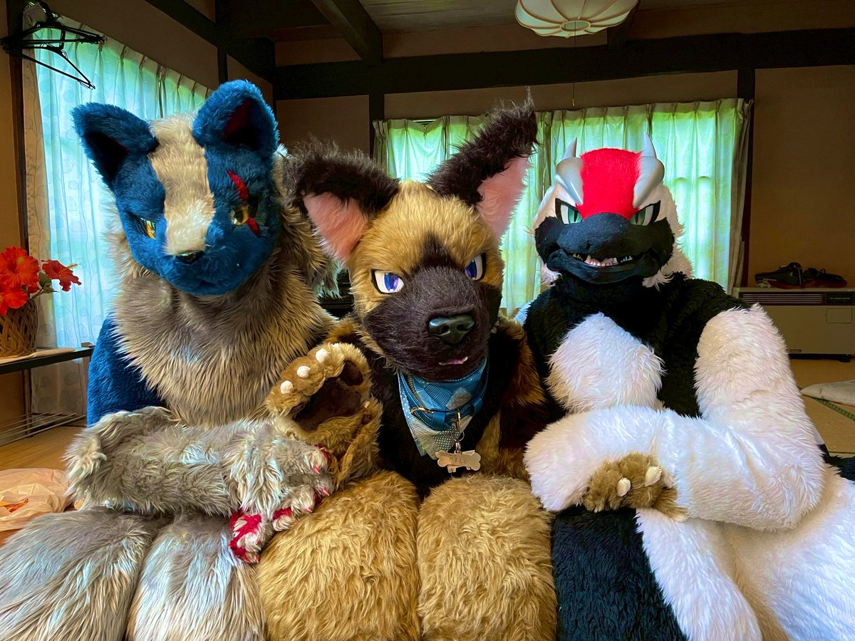 hakoyado604's tweet image. おはようございます_(:зゝ∠)_
横浜は雨ですねえ…☔
じっとりな1日になりますねぇ

あっ、ノゼトお迎え３周年です(((
これからもよろしくです(((