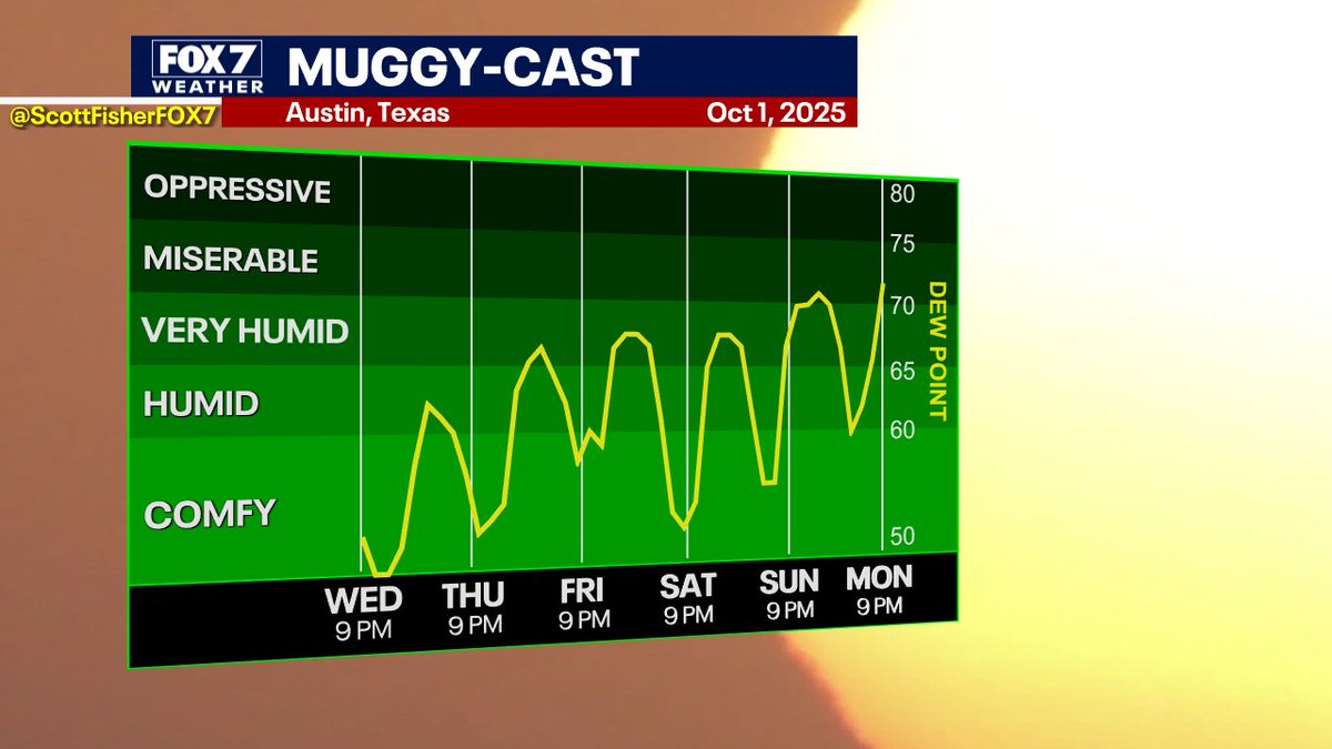 Scott Fisher tweet media