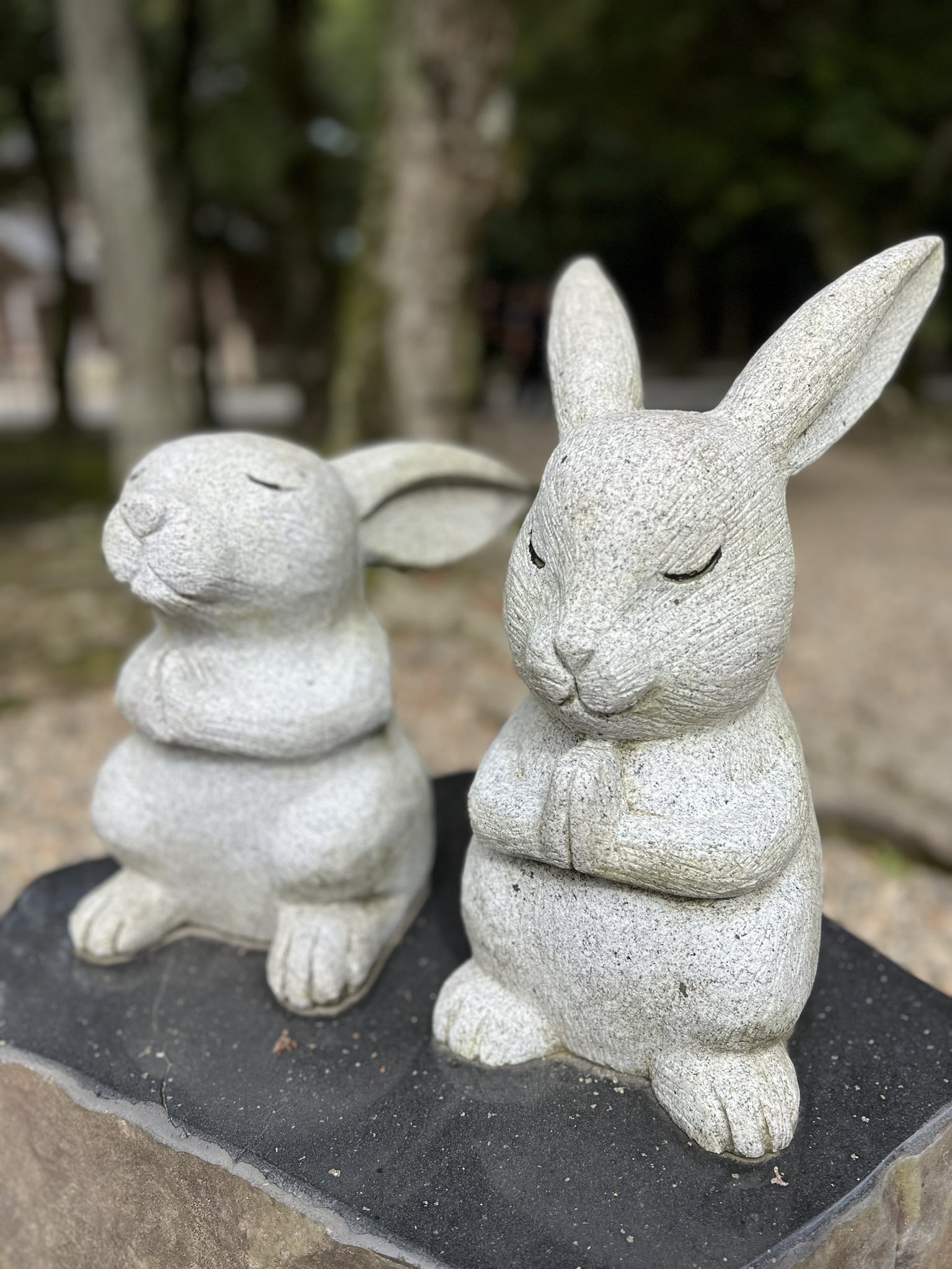 Chage (@chageshu) / X