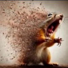 wen that booty call hits at 3am and you got work at 6am