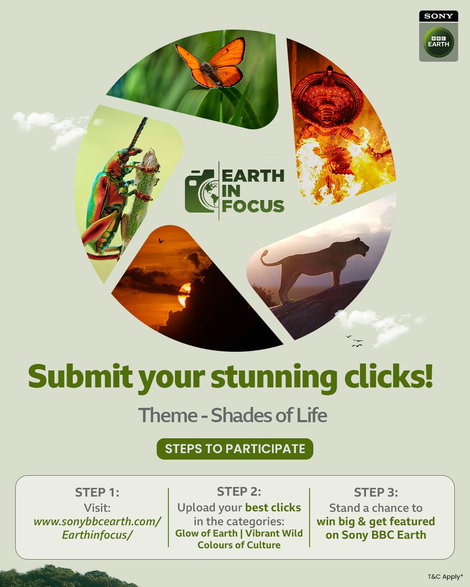 SonyMAX's tweet photo. Your click could steal the spotlight! ✨

Join the #EarthInFocus Photography Contest today.

Upload your best shots now 👉 https://t.co/TFP4s59ADf

#SBBCE #SonyBBCEarth #PhotographyContest #EIF https://t.co/87ji3eMEHF