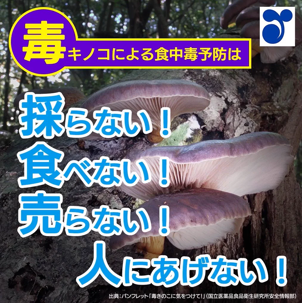 農林水産省 on X: 