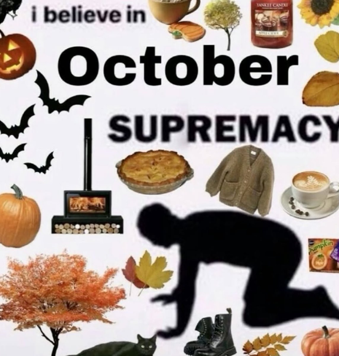 Respectful Memes (@respectfulmemes) on Twitter photo 