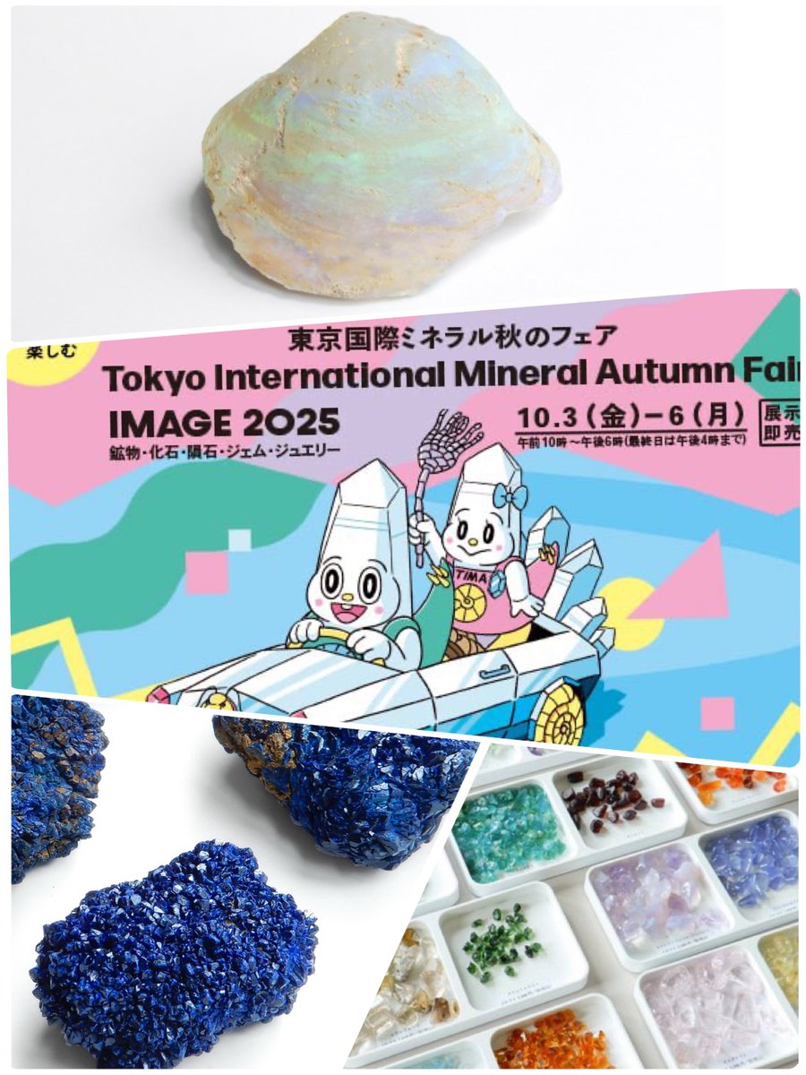 株式会社シミズ貴石 (@shimizu_kiseki) on Twitter photo 【お知らせ】明後日から開催の「東京国際ミネラル 秋のフェア」<a href="/TIMA_Tokyo/">TIMA東京国際ミネラル協会</a> に出展いたします📣✨
今回は少し趣向を変えて、私たちが日頃から実際に使っている「原石の販売」や、何が出るかお楽しみの「原石ガチャ」も初登場します‼️🎰 【お知らせ】明後日から開催の「東京国際ミネラル 秋のフェア」<a href="/TIMA_Tokyo/">TIMA東京国際ミネラル協会</a> に出展いたします📣✨
今回は少し趣向を変えて、私たちが日頃から実際に使っている「原石の販売」や、何が出るかお楽しみの「原石ガチャ」も初登場します‼️🎰
