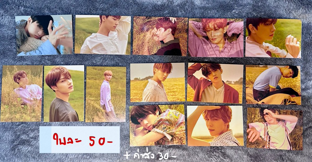 ausavaa's tweet photo. ต่อ ปล่อยของสะสมค่า การ์ด official album อัลบัมเการุ่นช่วงแรกๆ+carat membership official ค่าา #ตลาดนัดสวนแครอท #ตลาดนัดSeventeen มีเพิ่มเติมเยอะค่ะจะทยอยลงเรื่อยๆ https://t.co/ex554E9rJl