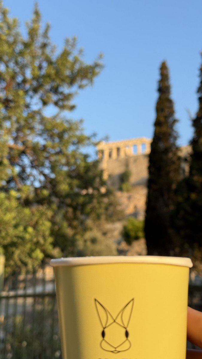 Matthijs Algra tweet media