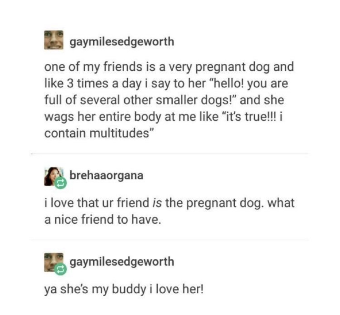 Respectful Memes (@respectfulmemes) on Twitter photo 