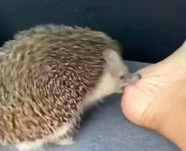 <a href="/abyssFFXIV_/">명계</a>