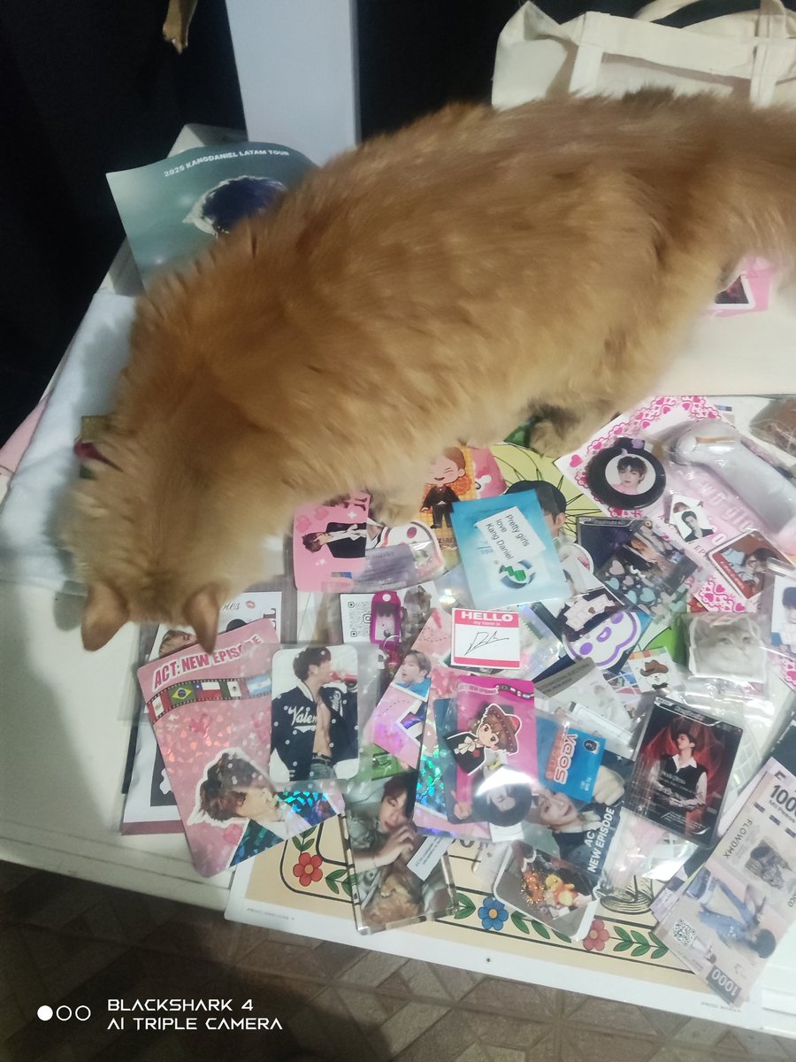 hooniel_mex's tweet image. Muchas gracias por todos sus regalos, amé todos y cada uno de ellos incluso los que compré (por un momento olvidé que no había merch oficial 🥲) son un tesoro ahora.

PD: El gato no, ese es mío haha.

#ACT_NEW_EPISODE_MEXICO
#KANGDANIEL_IN_MEXICO
#MEXICOLOVESDANIEL