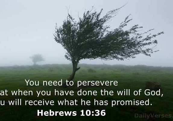 wocfl's tweet photo. @RealCandaceO Prayers for perseverance! https://t.co/w06xK0pKM6