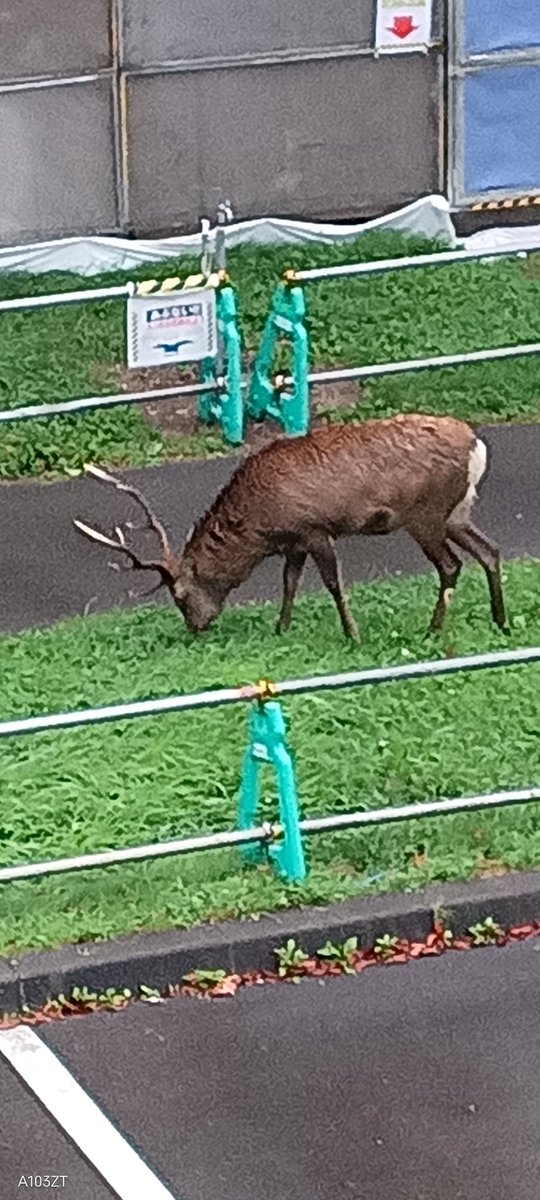 たかぴ (@takapi0309) / Posts / X