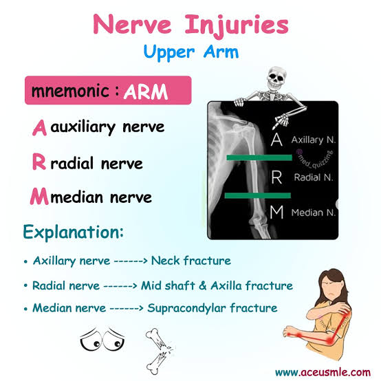 <a href="/doctors_squad/">DOCTORS SQUAD 🩺</a> 🎯