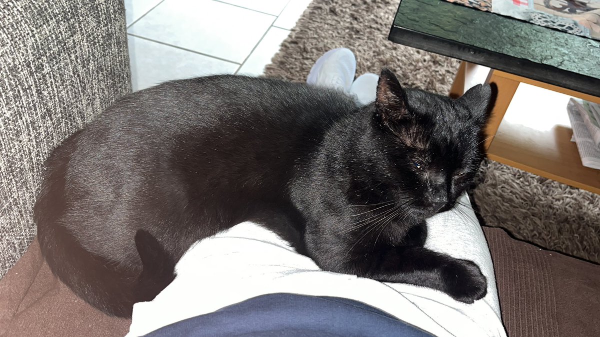 Also selbst wenn ich wollte — mit aufstehen, ist gerade Nix 🤷🏻‍♂️🥰🥰🥰🥰🥰