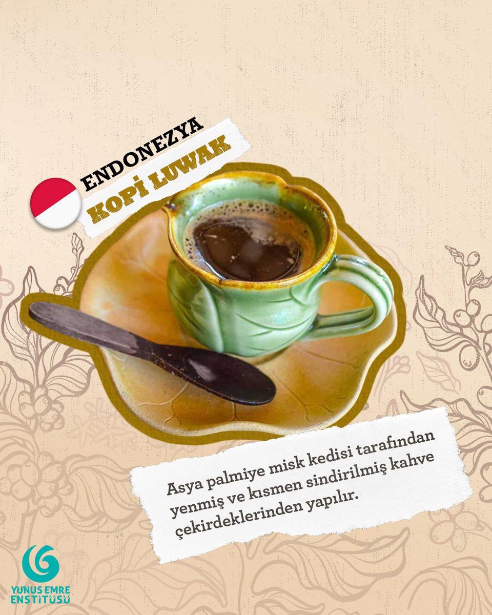 Kahvenin dili evrensel, tadı benzer, sohbeti sınırsız! ☕️

Bugün Dünya Kahve Günü! Gelin, kahvenin insanları bir araya getiren sıcaklığını birlikte kutlayalım. 🌍

Sizin en sevdiğiniz kahve hangisi?👇

#YunusEmreEnstitüsü #DünyaKahveGünü #CoffeeDay