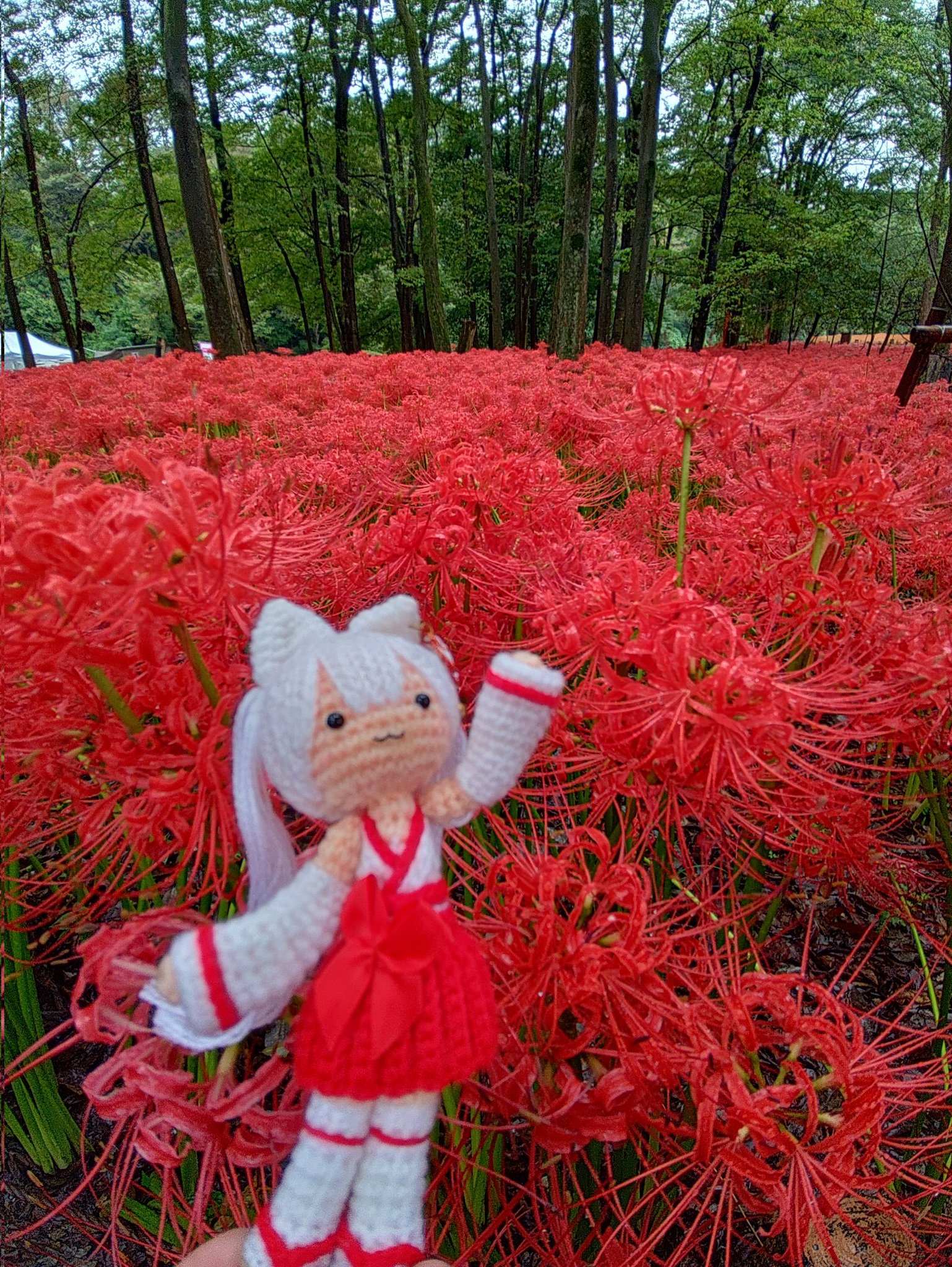 あみぐるみ作家みさきち🦊⛩️あみぐるみオーダーメイド受付中