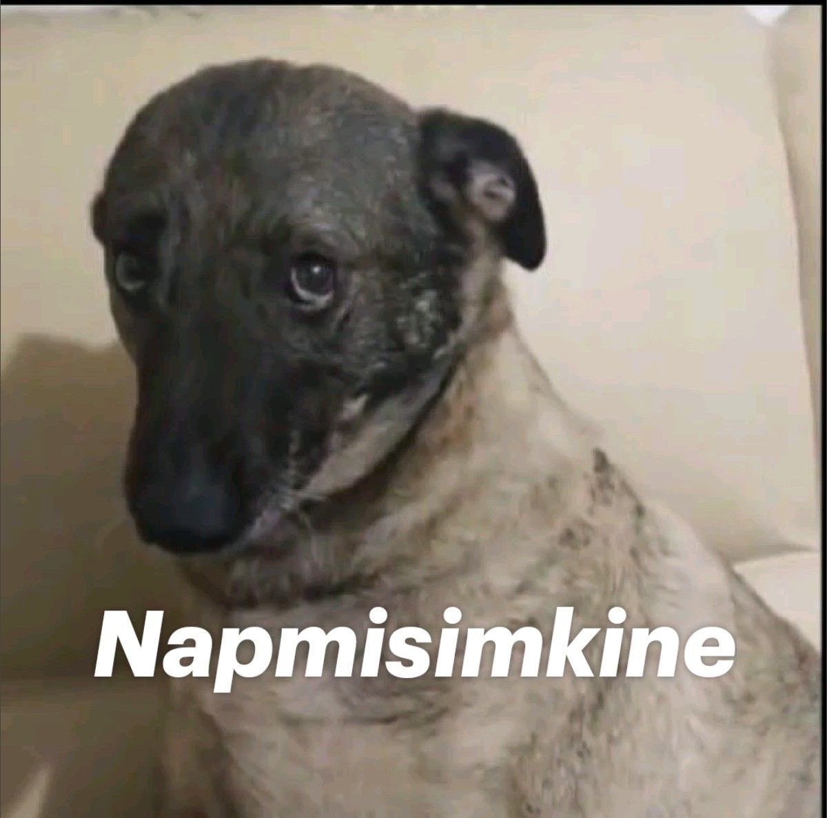 Stajın üçüncü günü…birine hakim bey diye seslendim… bey değildi