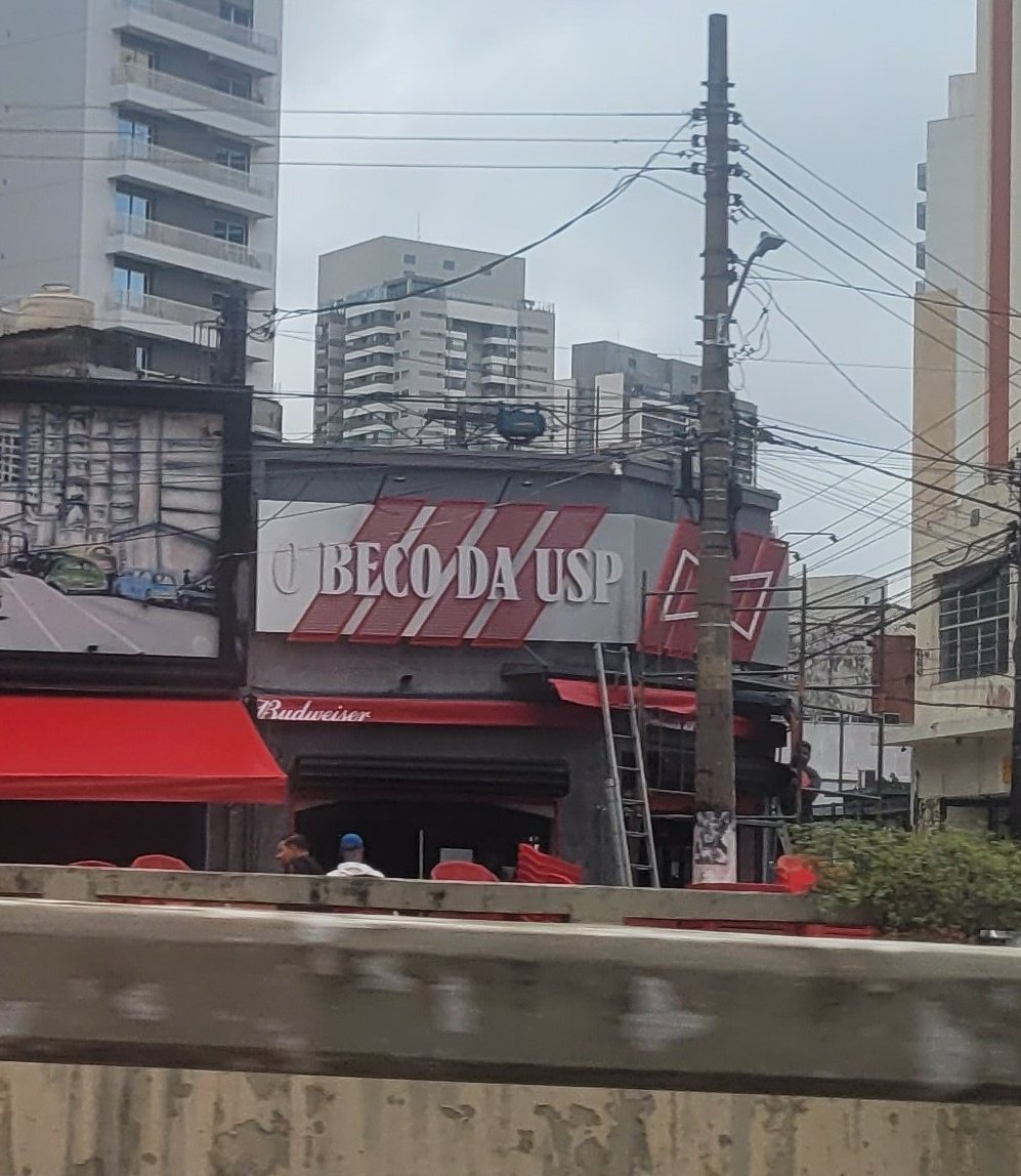 rato da california tweet media