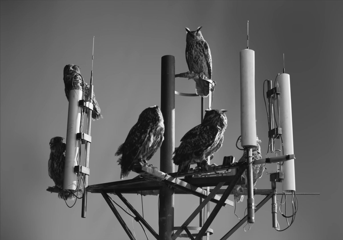 How many Taps we really got? I mean, it's too many...