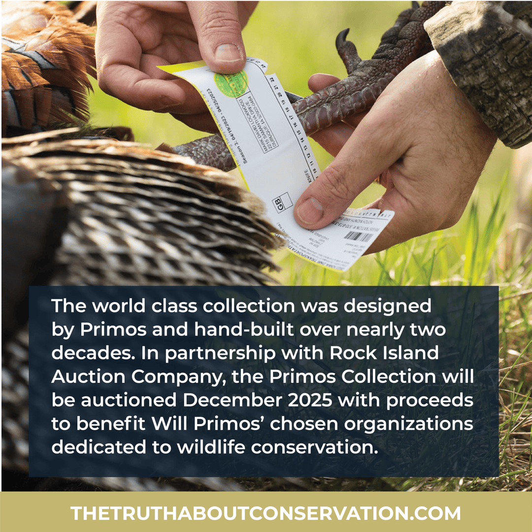 One of the largest gun auctions to raise money for five conservation organization - including @official_NWTF as shown here - is coming up Dec 5-7. Visit TheTruthAboutConservation.com to learn more and see the guns.