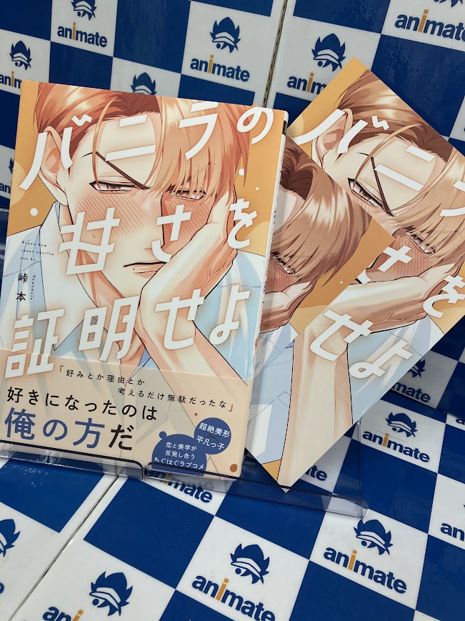 書店限定特典4Pリーフレット付商業BL23冊セット 書店限定特典4Pリーフレット付商業BL23冊セット - メルカリ