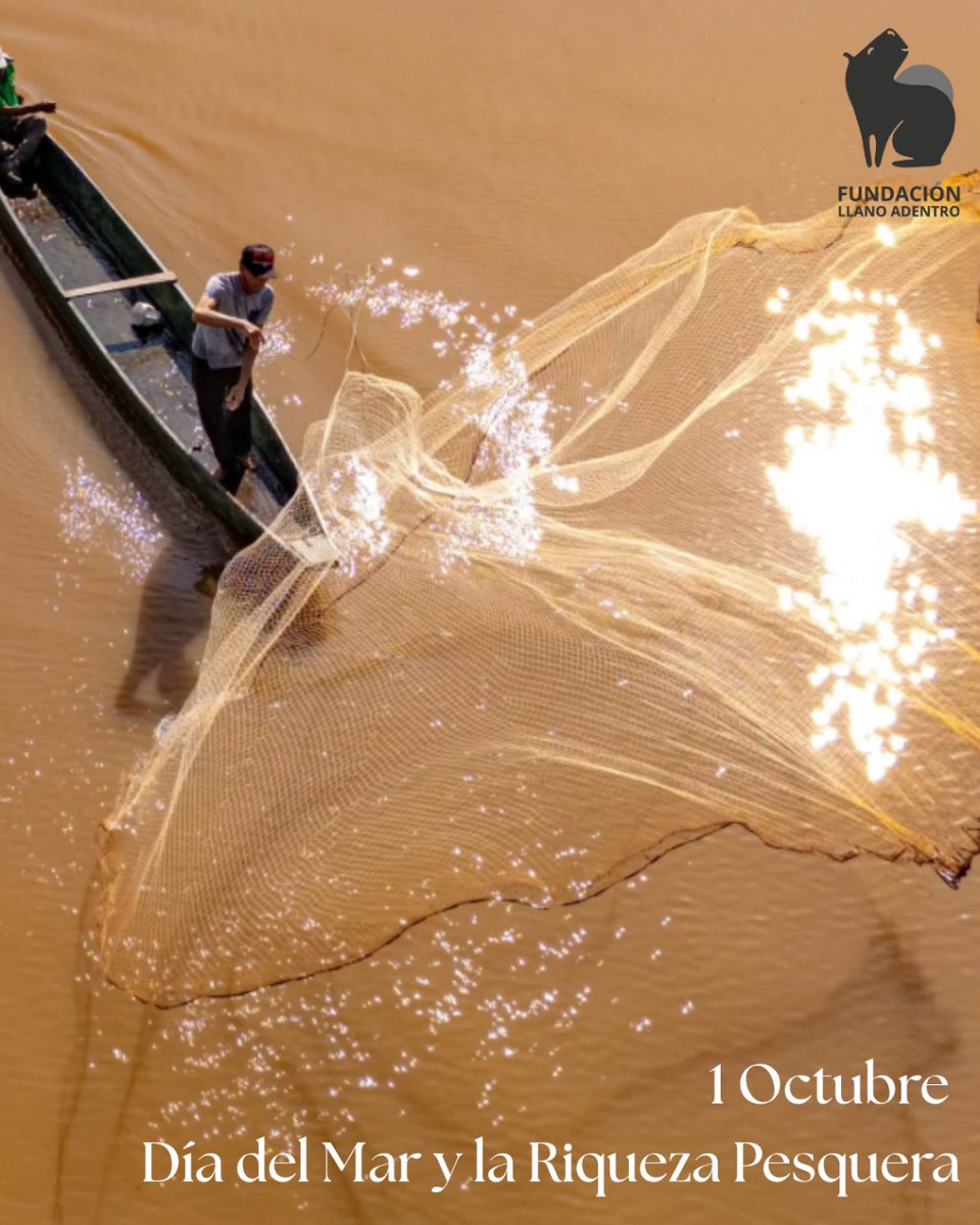 🌊🐟 Hoy celebramos el #DíaDelMar y la #RiquezaPesquera 💙
En una nueva infografía de Kevin Herrera exploramos los recursos que nos ofrecen los ecosistemas acuáticos 💧

👉 Mira la pieza completa en 🔗 fundacionllanoadentro.com
(Conexión Visual)
#Biodiversidad #ConexiónVisual