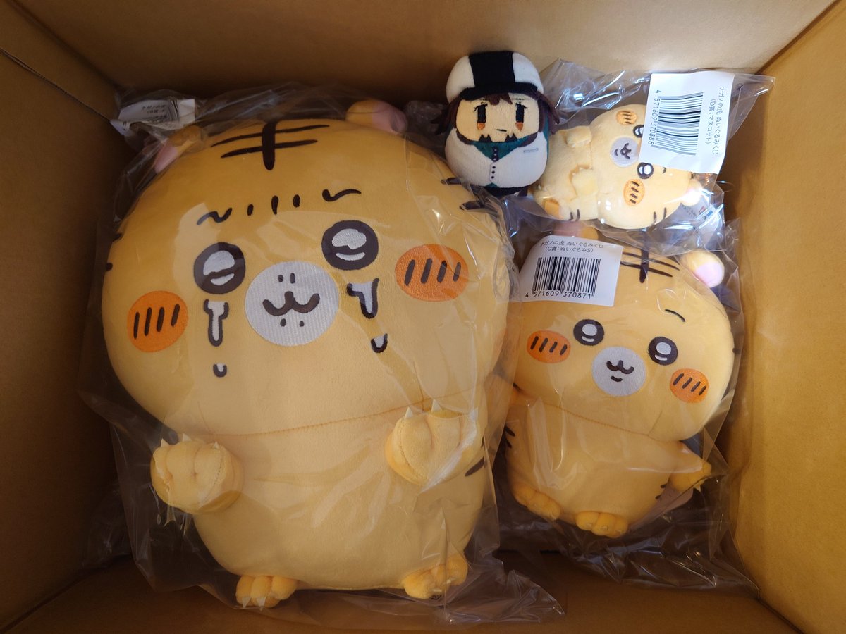 ナガノくじ３回分届きました！

🐯トラまつりだな！！
