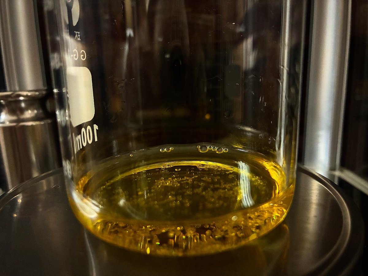 adam_ebberts's tweet image. How it started vs How it’s going