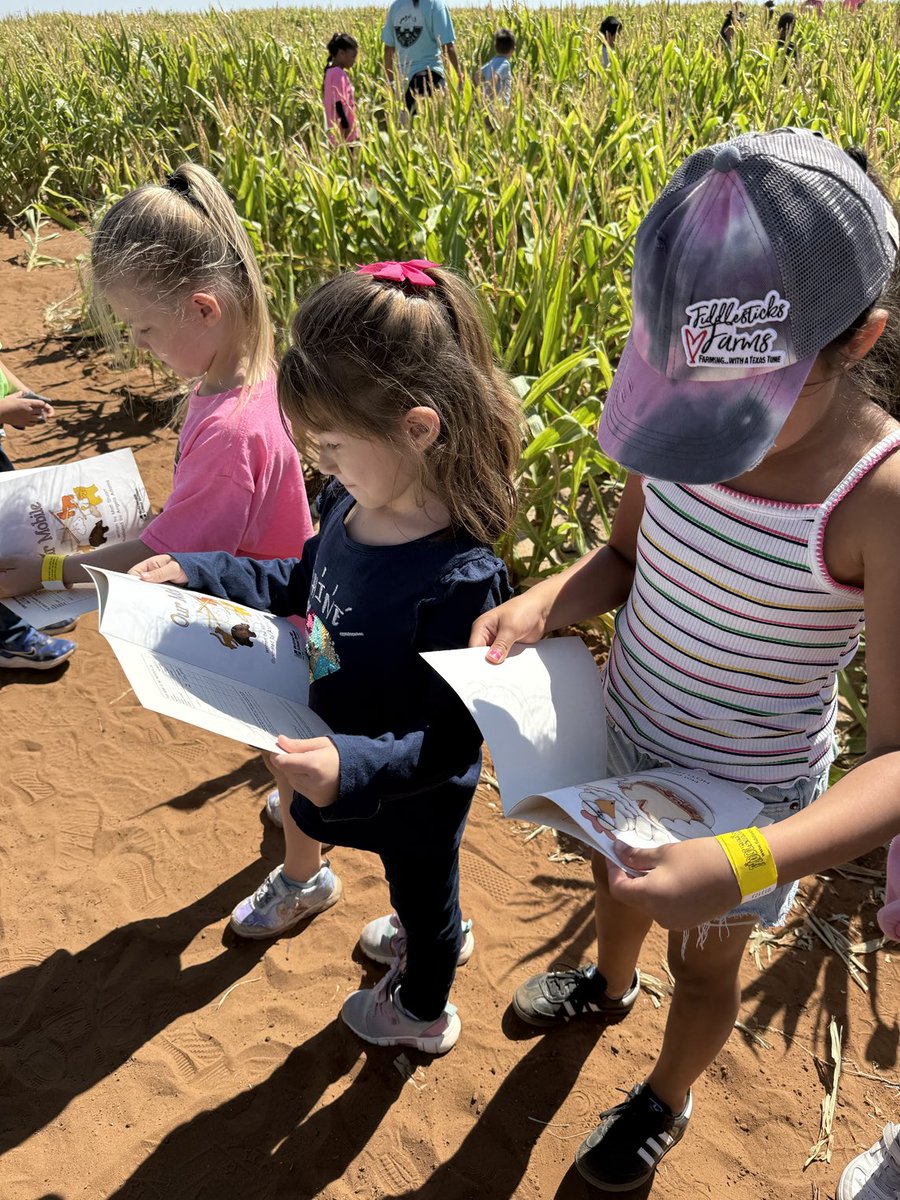 Raquel Rodriguez tweet media