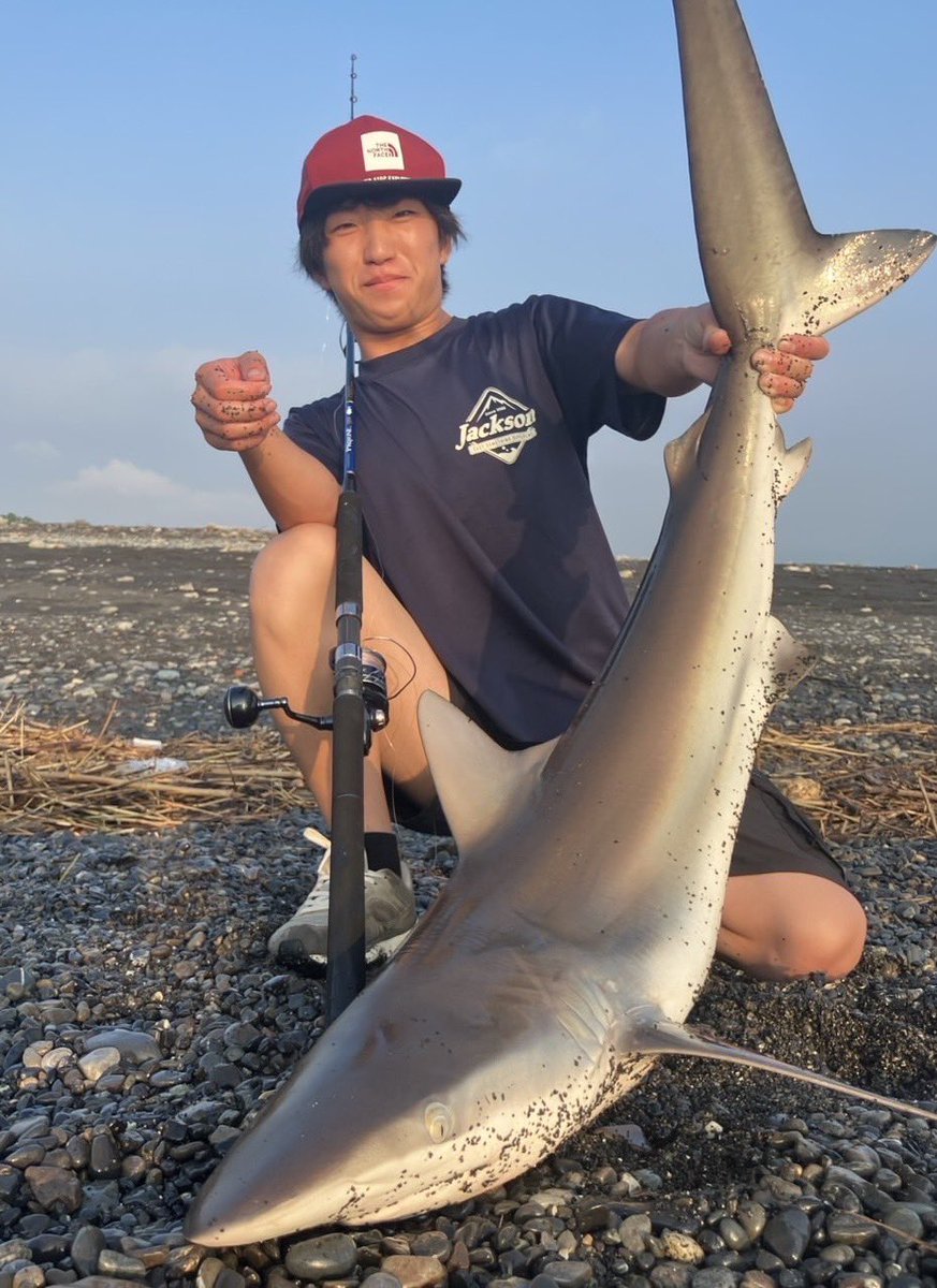 意外と知られていない面白い釣りといえばこれ！

SLSで釣った小型青物をそのまま餌にしてサメ🦈
スーパーのサバの切り身でもできる楽しい釣りでした！

※サメは危険な魚なので絶対に単独での釣行はやめましょう。

#東海大学海洋学部
#釣魚部
#静岡キャンパス