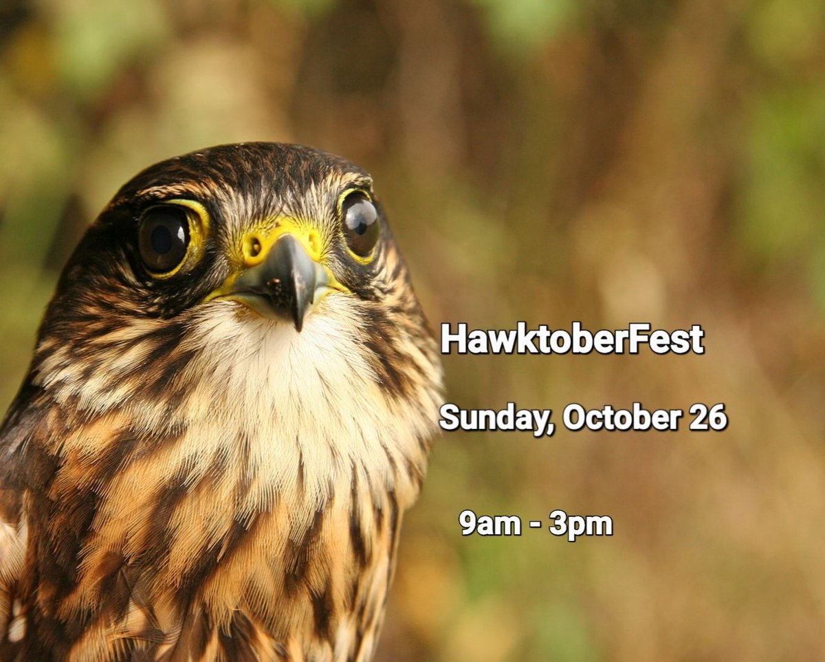 hbmo.ca/blog/festival-…
facebook.com/events/1714747…