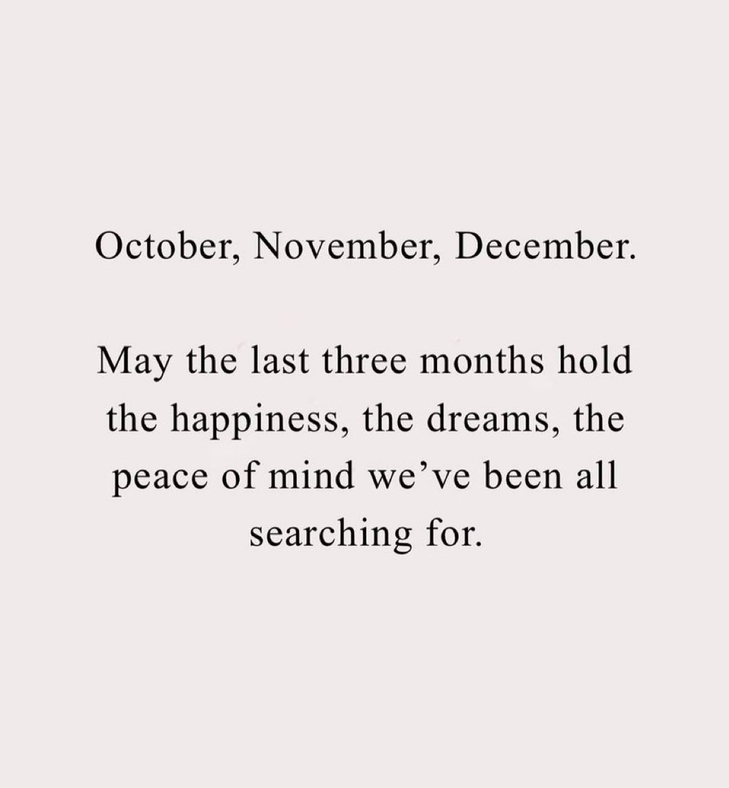 nightfox (@nightfoxy123456) on Twitter photo 