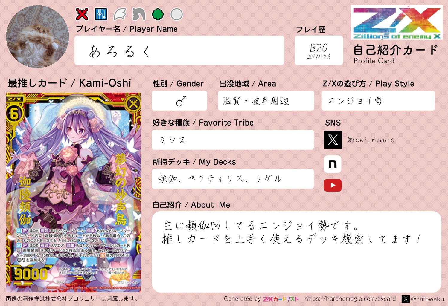 デュエルマスターズ Amazon.co.jp: デュエルマスターズ 王道篇 文藍月 Drache der