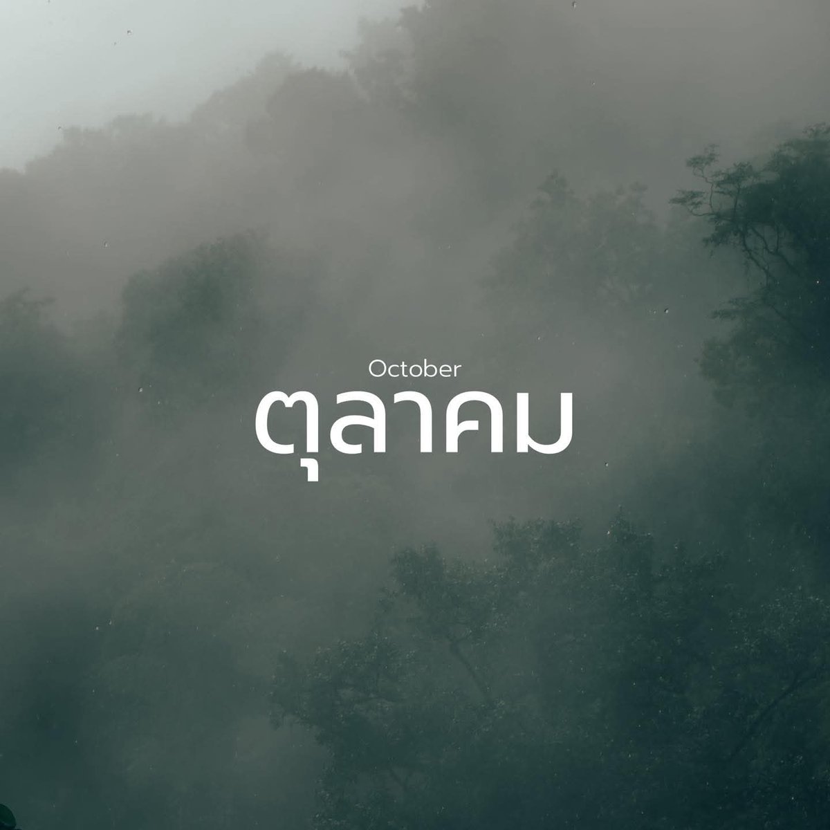 alexay43334's tweet image. #OctoberTheory : ทฤษฎีเดือนตุลาคม
เดือนนี้มักจะเป็นเดือน
ที่ชีวิตคนเราเปลี่ยนแปลงมากที่สุด 🌿
สิ่งที่ไม่คู่ควรกับเรา สิ่งที่ไม่ใช่สำหรับเรา 
มักจะจบลงที่เดือนนี้และทุกอย่างที่เสียไป
ก็จะถูกแทนที่ด้วยสิ่งที่ดีเสมอ 👍