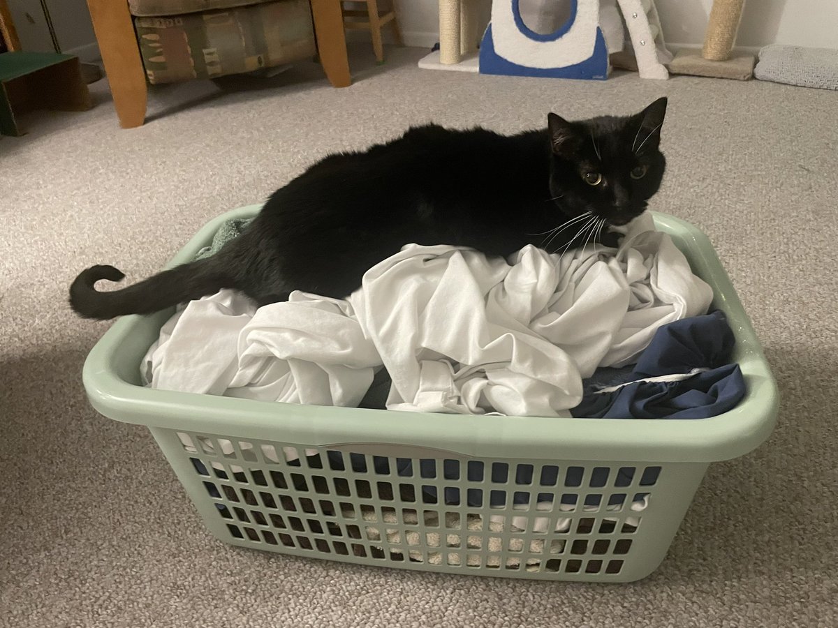 sorcha boots 🍉 tweet media