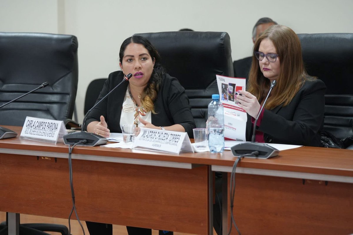 Comisión Especial Multipartidaria Capital Perú tweet media