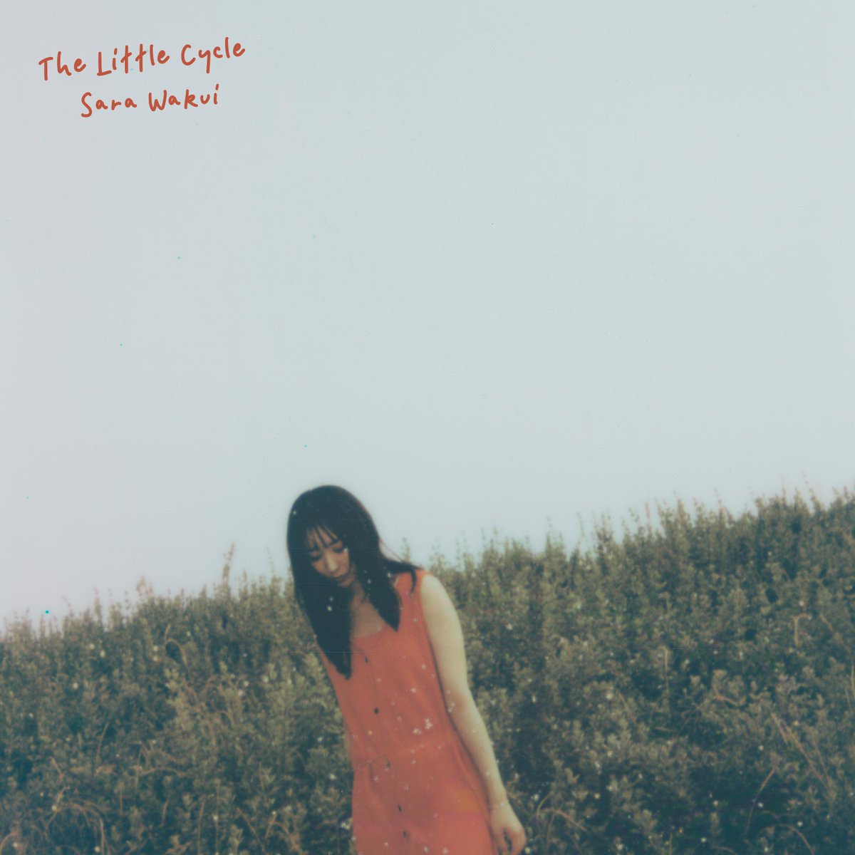 ULTRAVYBE_DIGI's tweet image. 【New Release】
Sara Wakui - The Little Cycle がリリースされました！

各種リンク
ultravybe.lnk.to/thelittlecycle

@info_Wakuisara
