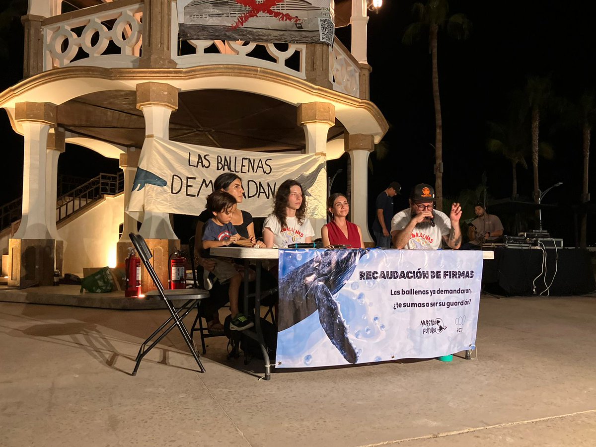 Pajaropolitico's tweet photo. 🔴#Ahora Desde el malecón de La Paz, Baja California Sur, organizaciones como @nuestrofuturoac presentan a la comunidad una estrategia legal inédita que pone a la ballenas como sujetos de derecho para proteger a estos mamíferos marinos de megaproyectos en el Golfo de California.

📸: @VeroSantamariaC
