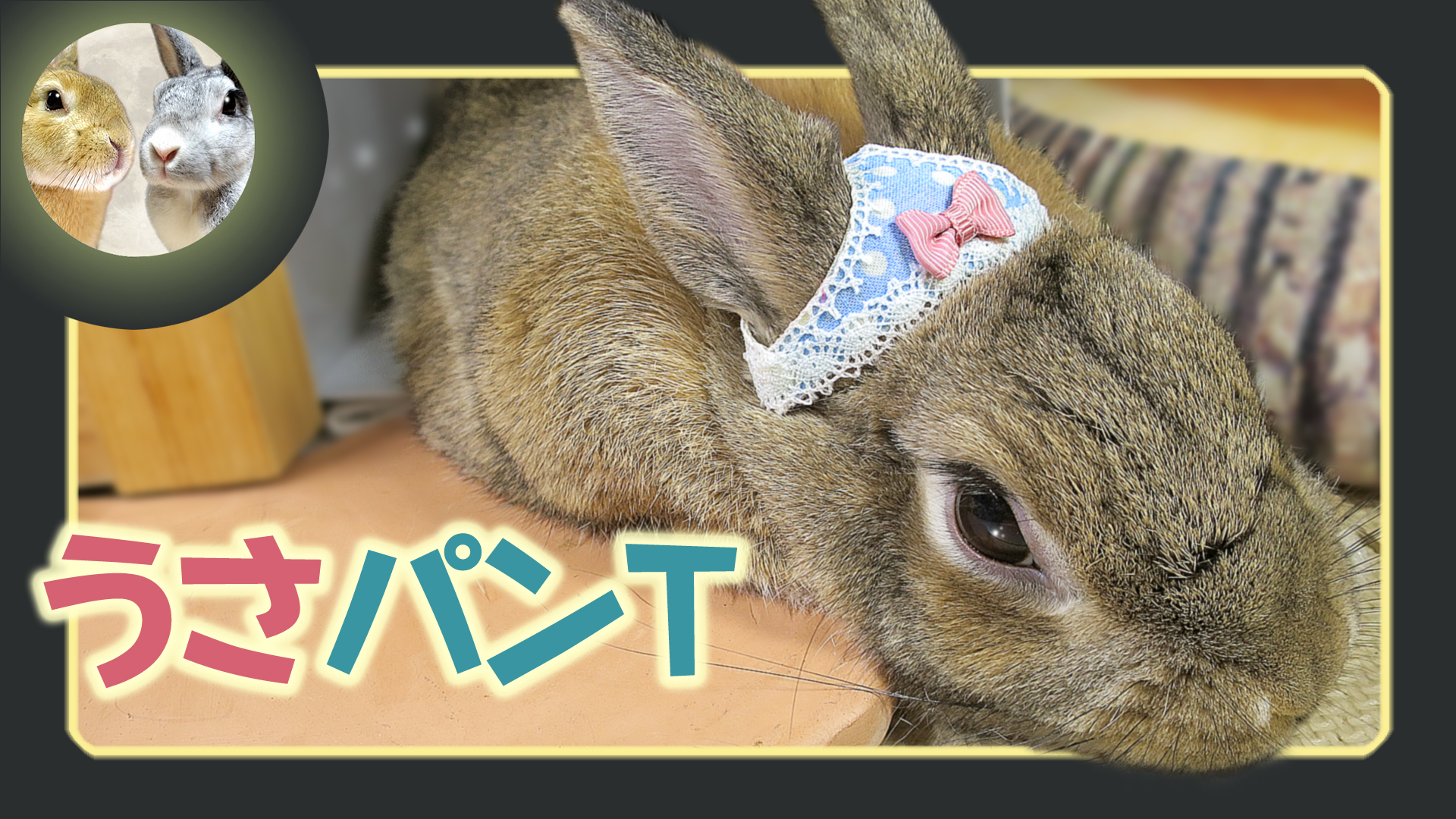 月うさぎ だいだい&アスカ先輩 on X: 