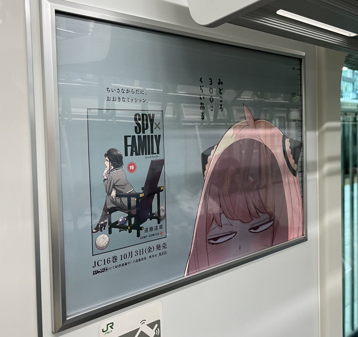 スズ 💙 (@SUZU156) / X