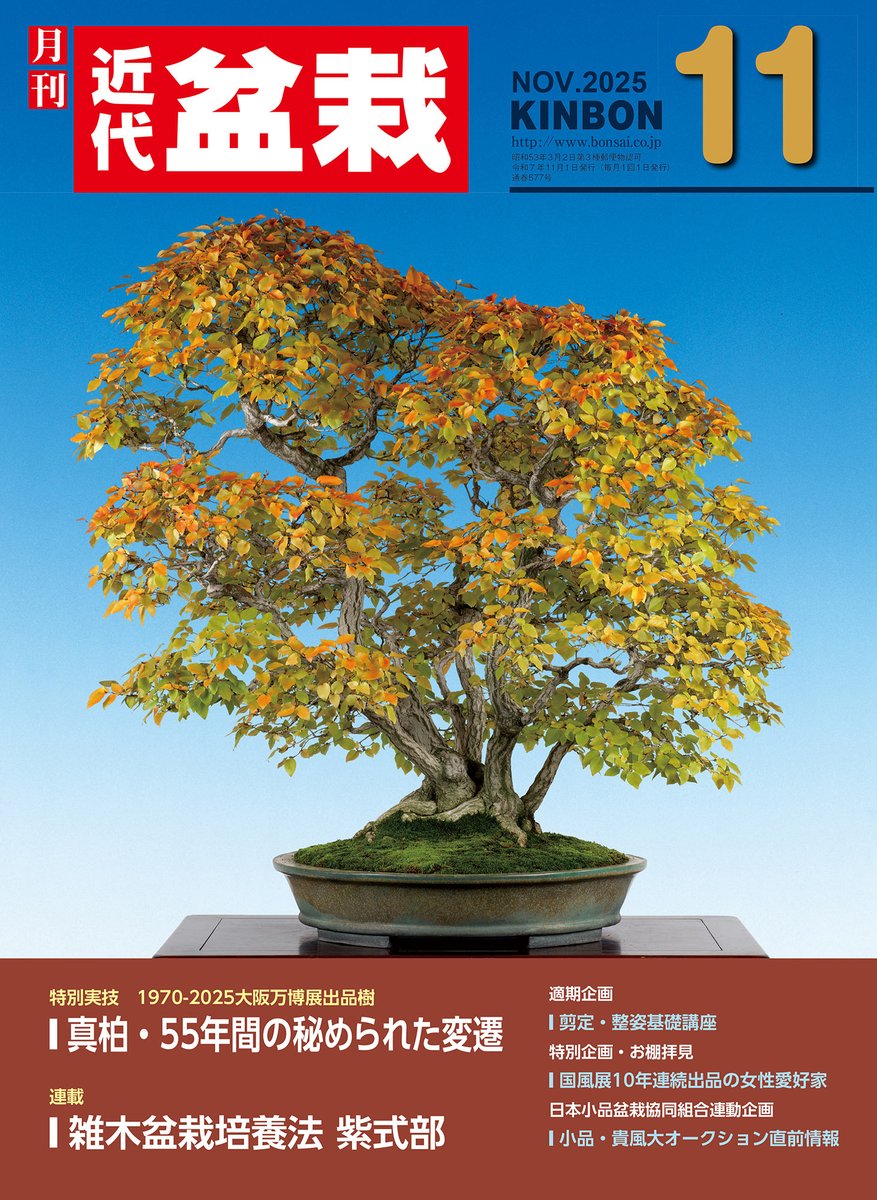 日本盆栽講座 全11巻 日本盆栽講座全11冊 日本盆栽講座刊行会 - メルカリ