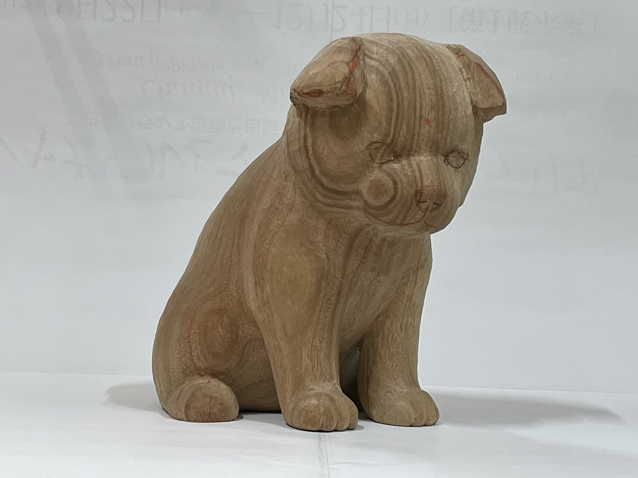 犬の頭部を持つ樹脂製彫刻 Amazon.co.jp: 犬の頭骨モデル動物樹脂彫刻モデルリアルな犬の