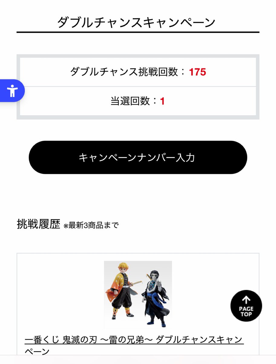 ダブルチャンスキャンペーン当選 144334-30-