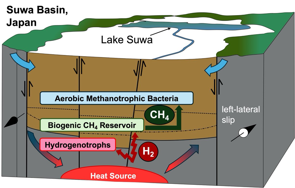 PEPS_JpGU (@peps_jpgu) on Twitter photo A new research article :Published 1 Oct 2025
Methane- and hydrogen-dependent prokaryotic deep biosphere at the Suwa  Basin, Japan: impacts of hydrogeological processes on subsurface  prokaryotic ecology ....
 
Atsushi Urai et al.
doi.org/10.1186/s40645…
springeropen.com/collections/eio A new research article :Published 1 Oct 2025
Methane- and hydrogen-dependent prokaryotic deep biosphere at the Suwa  Basin, Japan: impacts of hydrogeological processes on subsurface  prokaryotic ecology ....
 
Atsushi Urai et al.
doi.org/10.1186/s40645…
springeropen.com/collections/eio