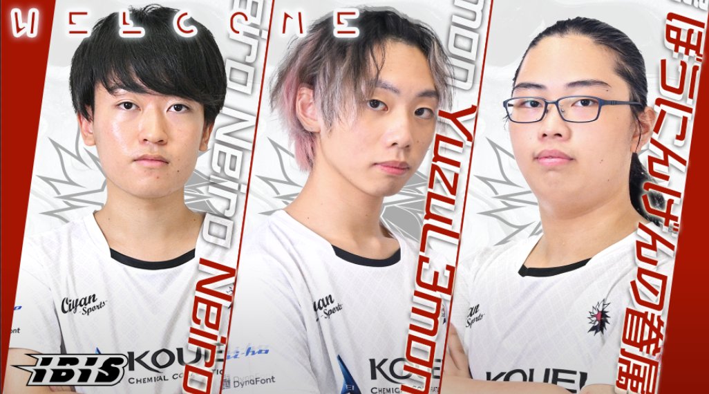 Team IBIS tweet media