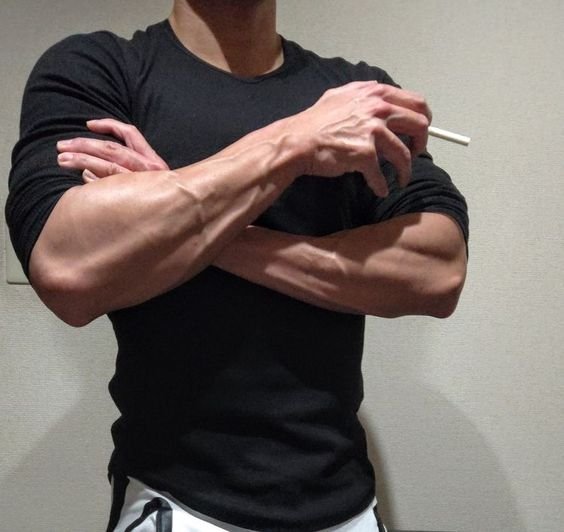 𝗧oo  occupied  with  the  shark - maid  he  hasn't  has  had  a  smoke  in  days .