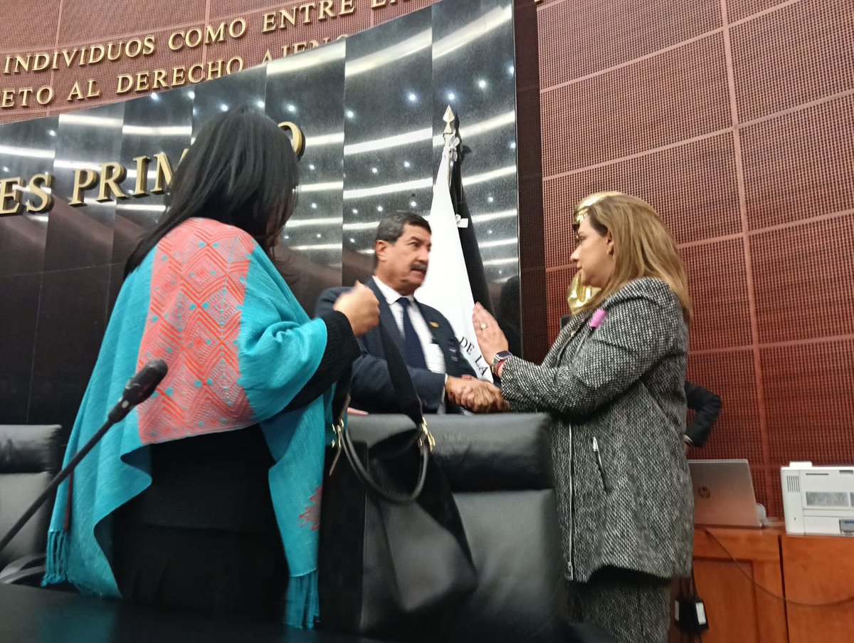 NaTellezTorresO's tweet photo. Gracias Senador @Javier_Corral y Senadora @GpeChaviraMX por consolidar un espacio técnico y escuchar nuestras opiniones sobre el proyecto de Reforma a la Ley de Amparo, Código Fiscal de la Federación y Ley Orgánica del TFJA, sin duda un exitoso ejercicio de Parlamento Abierto https://t.co/ex9grh6VGr