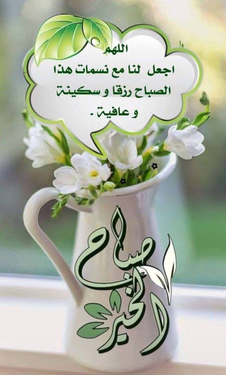 *" آلَلَهّمً إنّا نسألك العفو والعافية في الدنيا والآخرة، آلَلَهّمً مَتِّعنا بأسماعِنا، وأبصارِنا، وقُوَّتِنا ما أحيَيْتَنا، واجعلْهُ الوارثَ مِنَّا، آلَلَهّمً احفظ علينا النعم وبارك لنا فيها...."🩶*
صباح الخير 🌹