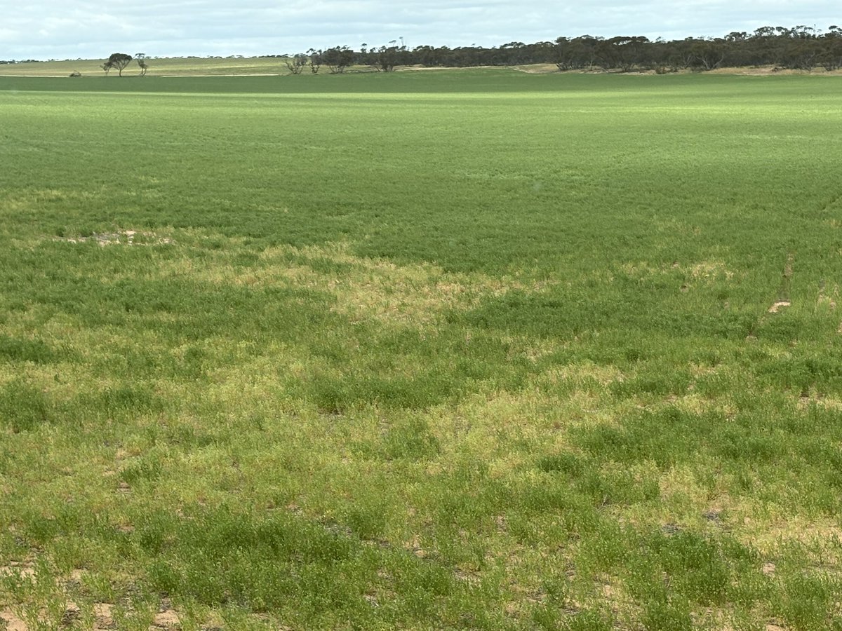 Tim Larwood 🇦🇺 tweet media