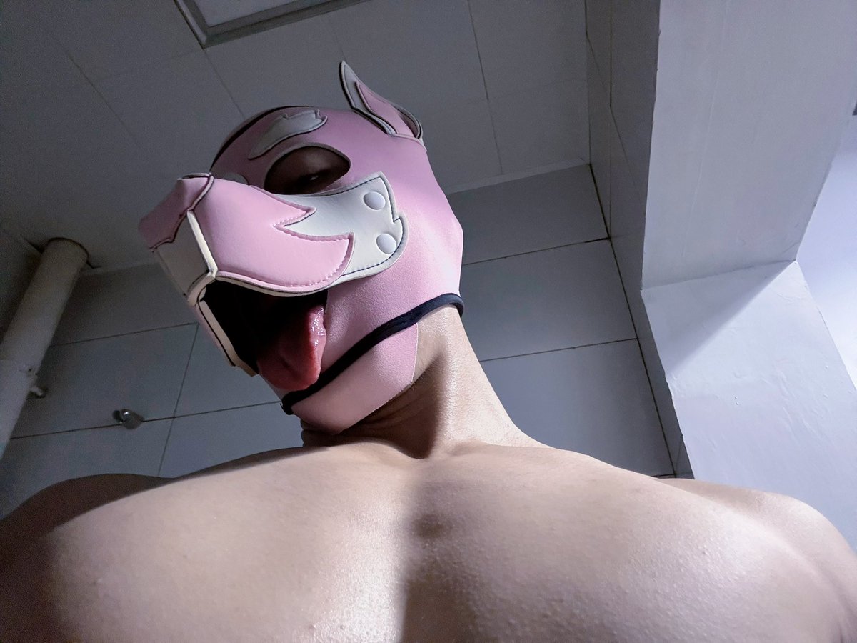 叫我大臣就好 tweet media